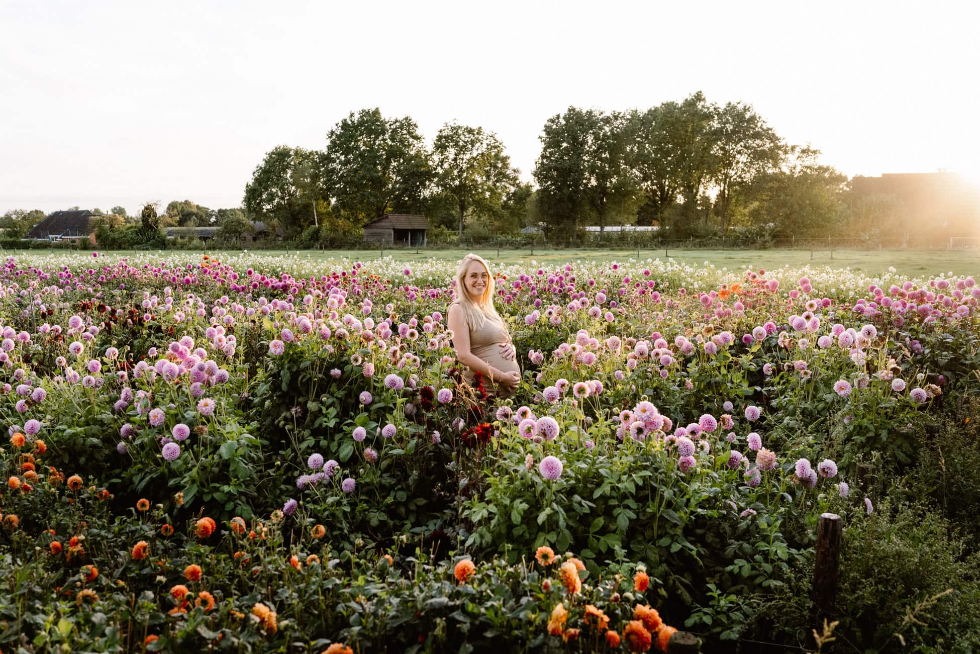 Zwangerschapsshoot in Eelde in bloemenveld